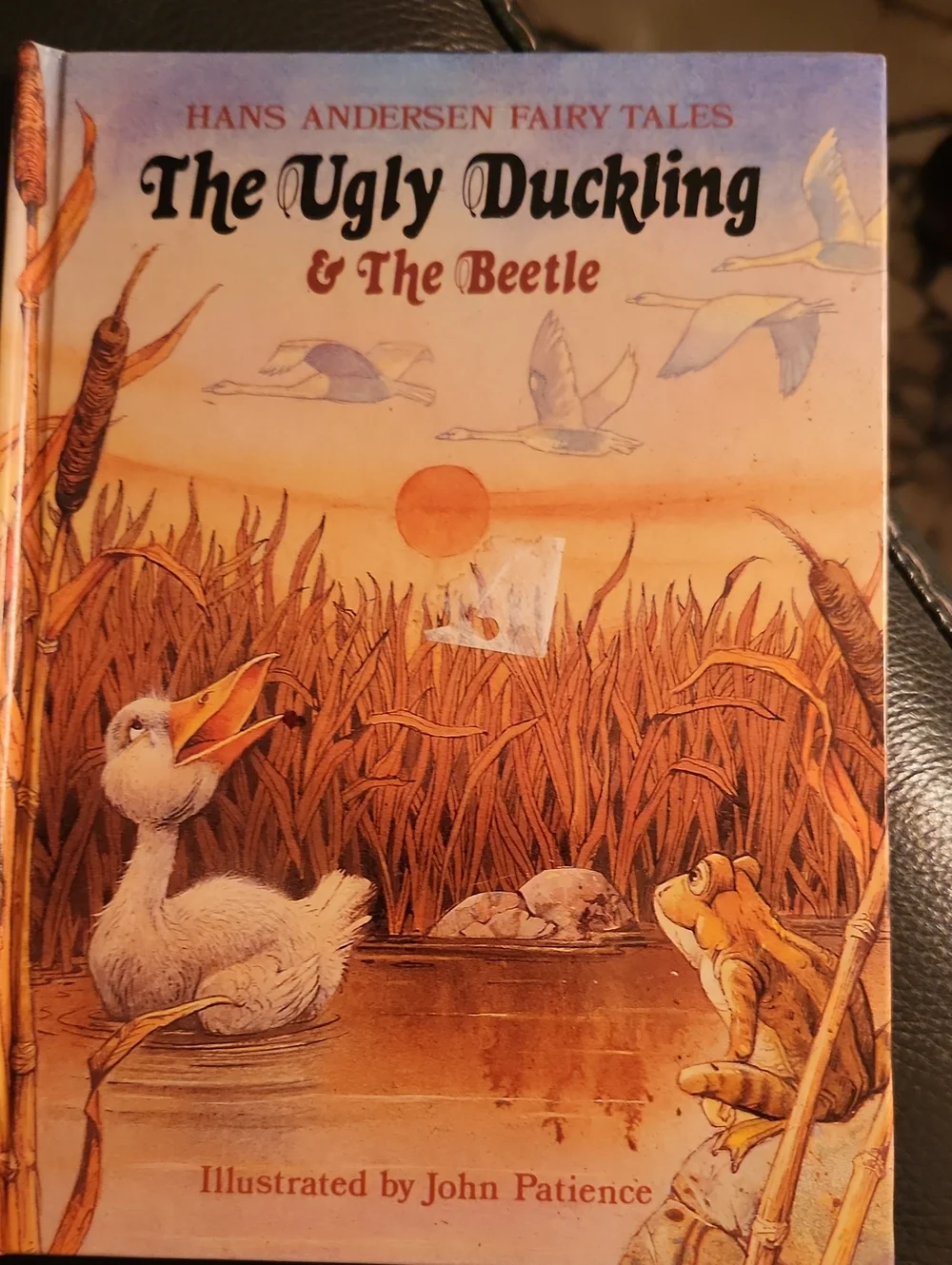 The Ugly Duckling & The Beetle Illustrated Hardcover - by Hans Anderson